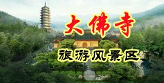 美女白虎逼被操软件中国浙江-新昌大佛寺旅游风景区